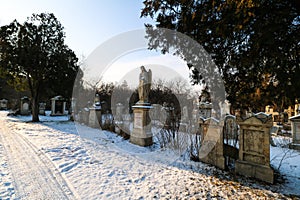 Sankt Marx Cemetery in Vienna photo