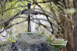 The Sankt Marx cemetery in Vienna, which was closed in 1874 and is a listed building