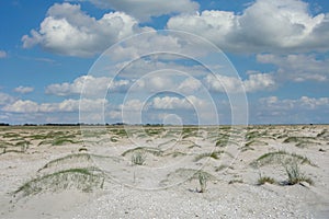 Sankt Peter-Ording North Frisia Germany