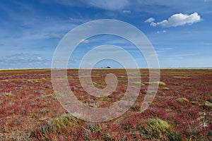 Sankt Peter-Ording,North Sea,North Frisia,Germany