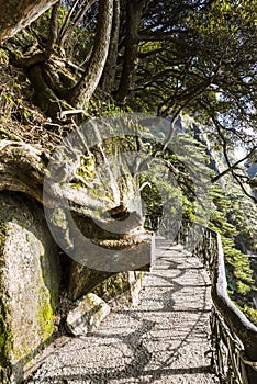 Sanqingshan mountain scenery