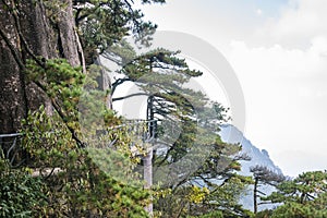 Sanqingshan mountain scenery