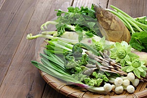 Sansai, japanese edible wild plants vegetables