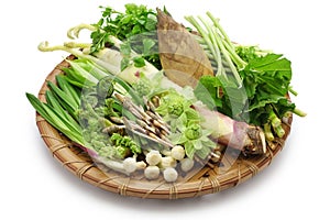 Sansai, japanese edible wild plants vegetables