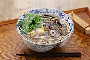 Sansai soba, japanese buckwheat noodle soup with mountain vegetables