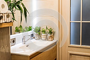 Sansevieria flowers in pots standing on sink as a bathroom decoration