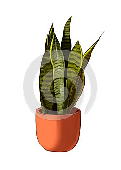 Sansevieria from multicolored paints. Splash of watercolor, colored drawing, realistic
