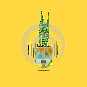 Sansevieria plant character fright and got shocked isolated on yellow background. Sansevieria plant character emoticon