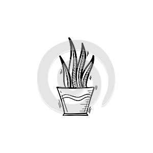 Sansevieria trifasciata in a pot sketch icon.