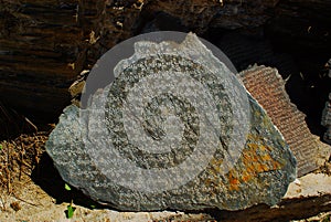 Sanskrit on Stone