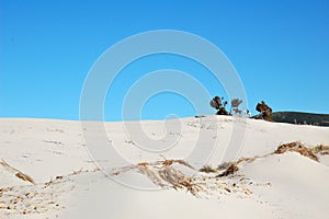 Sant'Anna Arresi - Porto Pino dunes photo
