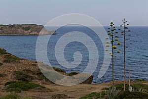 Sant'Antioco Coast Sardinia