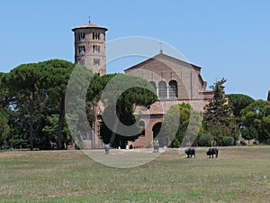 Sant\'Apollinare in Classe Basilica