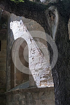 Sant Joan de les Abadesses (Spain)