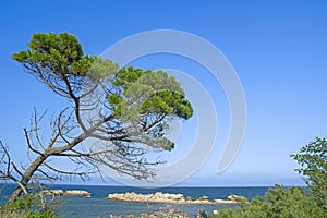 Sant Marti d\'Empuries (L\'Escala) beach on Costa Brava, Catalonia, Spain