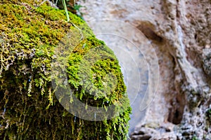 Sant Miquel del Fai in Barcelona, Catalonia, Spain.