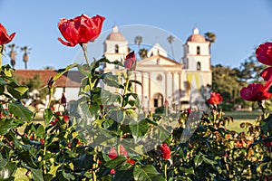 Red roses hide Old Mission, Santa Barbara, CA, USA