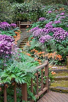 Santa Barbara Garden