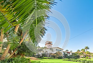 Santa Barbara sunken gardens under a blue sky