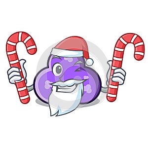 Santa with candy trefoil mascot cartoon style