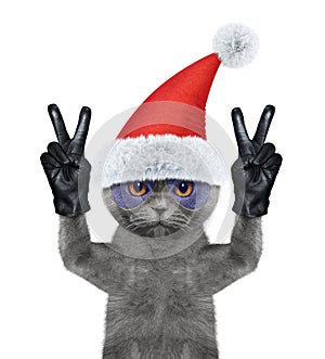 Santa cat with two victory fingers. Isolated on white