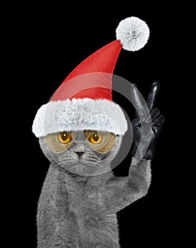 Santa cat with victory fingers. Isolated on black