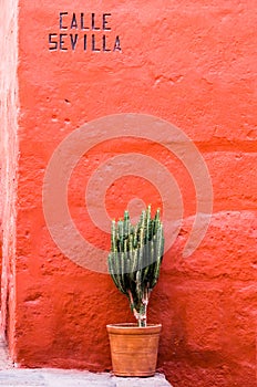 Santa Catalina Convent, Arequipa, Peru photo