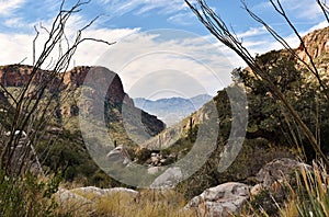 Santa Catalina Mountains in Tucson, Arizona