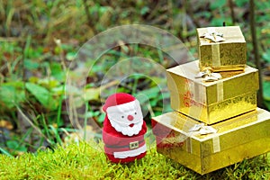 Santa with christmas gifts on the moss