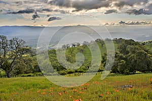 Santa Clara Valley from Joseph D. Grant Country Park, Santa Clara County, California, USA