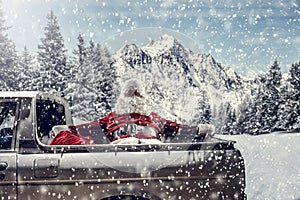 Santa Claus in a car driving to deliver some christmas presents on a sunny winter day. Blurred mountain forest background.