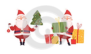 Santa Claus Character with White Beard and Red Hat Holding Gift Box and Christmas Fir Tree Vector Set