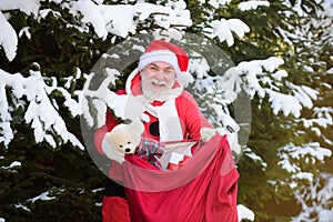 Santa Claus on Christmas Eve is carrying presents to children in a bag on fir snowy branch background.