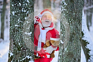 Santa Claus in the Christmas snow forest.