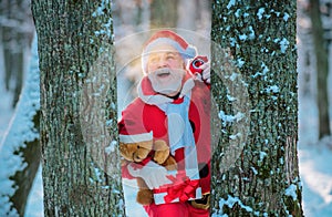Santa Claus in the Christmas snow forest.