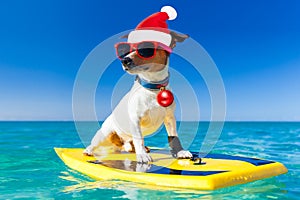 Surfer christmas santa claus dog