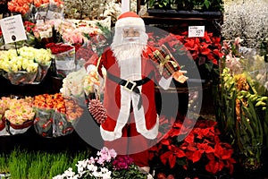 Santa claus figue at flowers shop in danish capital Copenhagen