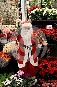 Santa claus figue at flowers shop in danish capital Copenhagen