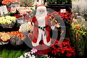 Santa claus figue at flowers shop in danish capital Copenhagen