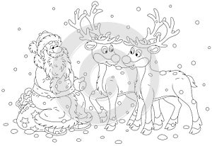 Santa Claus friendly talking to his reindeer