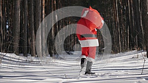 Santa Claus is funny dancing in the winter sunny forest