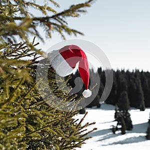 Santa Claus hat on Fir tree, background snow winter mountain forest. Christmas celebration holiday, vacation, ski resort