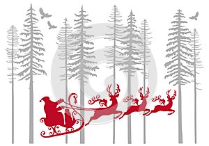 Santa Claus with his reindeer in fir forest, vector