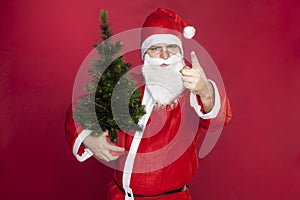 Santa Claus holds a Christmas tree and threatens his finger