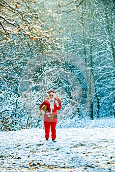 Santa Claus pulling huge bag of gifts on white nature background. Delivery christmas gifts. Winter Christmas greeting