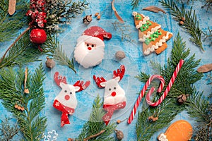 Santa Claus and raindeer christmas decoration