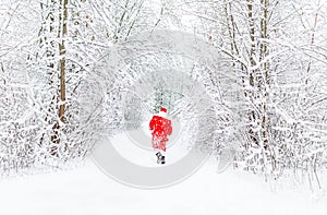 Santa Claus in red costume walk in winter forest afar. Back view