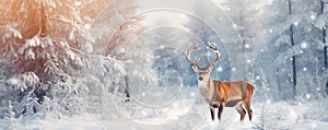 Santa Claus Reindeer Wearing A Hat Festive Holiday Image Space For Text