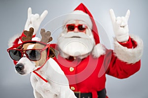 Santa claus and santa's helper in sunglasses on a white background. Jack russell terrier dog in a deer costume