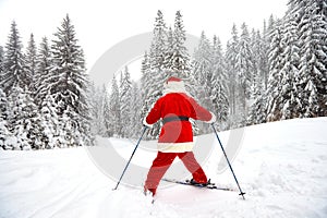 Santa Claus skier with skis in the woods in winter at Christmas